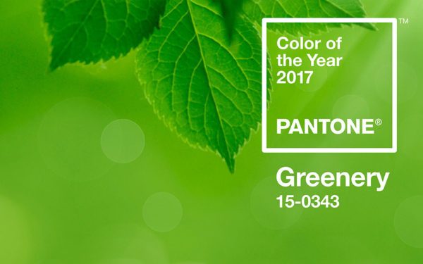 color of the year 2017 pantone