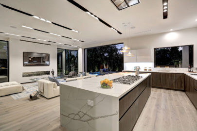 sleek kitchen and living room